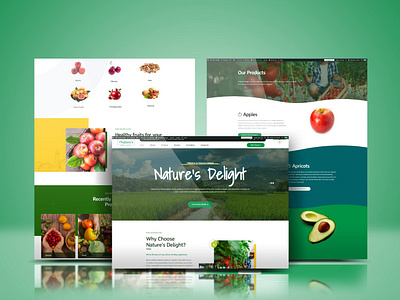 Nature Delight Wholesale Distribution: Fresh Produce Website responsive design seo uiux web design web development wordpress