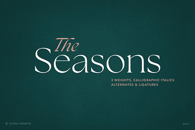 The Seasons Serif Font Family clean contemporary corporate deco elegant expensive family fashion feminine french handwritten high end