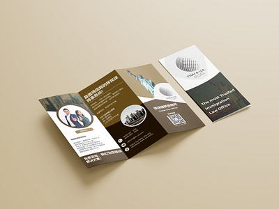 Tri-Fold Brochure | Brochure Design graphic design print