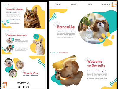 Klaviyo Pet Shop Email Template Design adobe photoshop branding canva design digital marketing email template illustration klaviyo mailchimp ui