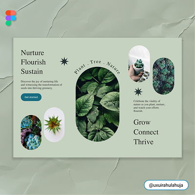 Hero-section for a Nature Inspired Website hero section nature ui ui designer ux ui design website design