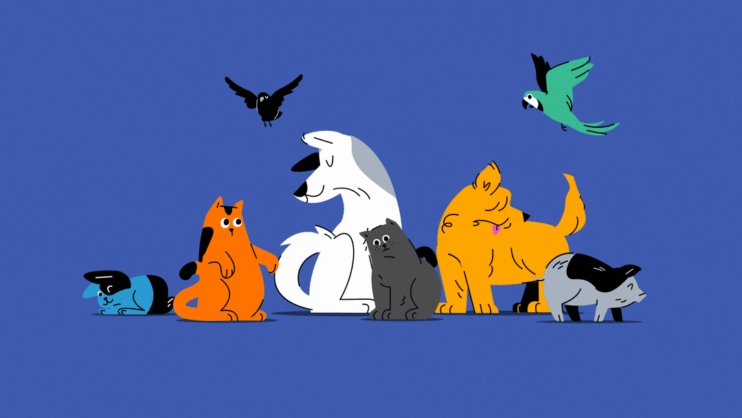 Paws, Claws, and Happy Tails: Celebrate World Animal Day! 2d adopt dont shop animal animal lover animation cat character animation character illustration cute dog friendship graphic design illustration love motion graphics parrot pig rabbit verctor world animal day