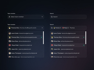 Input element dark dashboard design dropdown gradient input inputs minimal multi select search select team team member ui