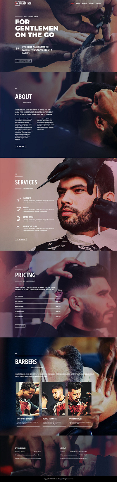 Project 11 wordpress