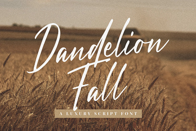 Dandelion Fall By Krafted branding canva commercial use cricut design digital font graphic design illustration logo ui