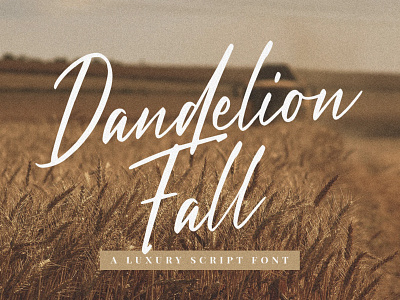 Dandelion Fall By Krafted branding canva commercial use cricut design digital font graphic design illustration logo ui