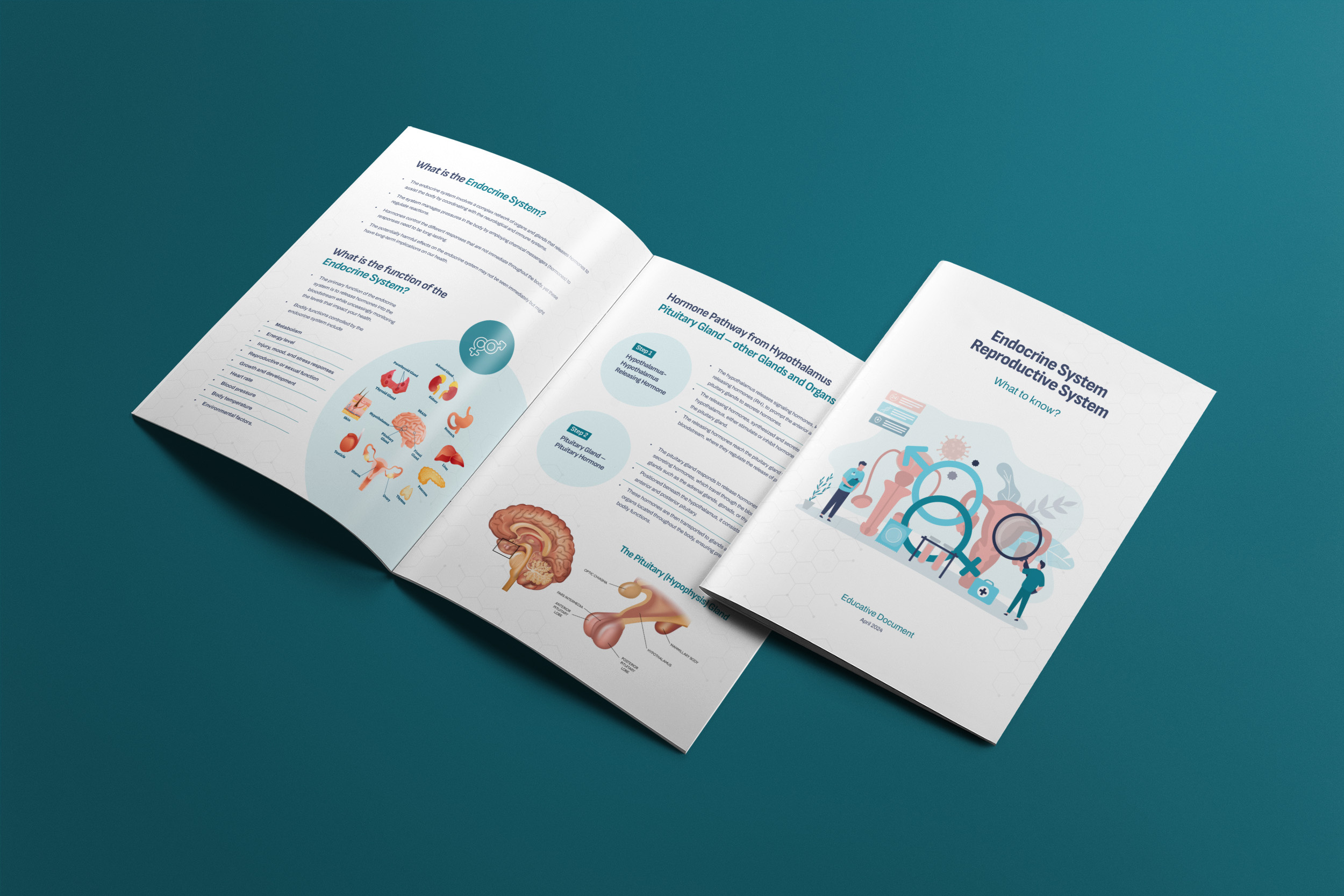Example of Lead Magnet & White Paper Design