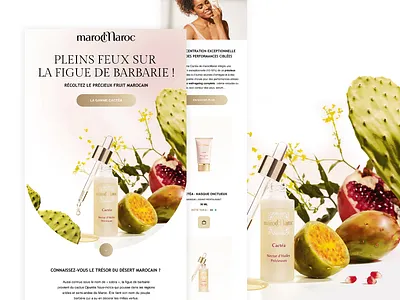 marocMaroc Email Design cosmetic brand design email email design email marketing klaviyo newsletter newsletter branding newsletter design