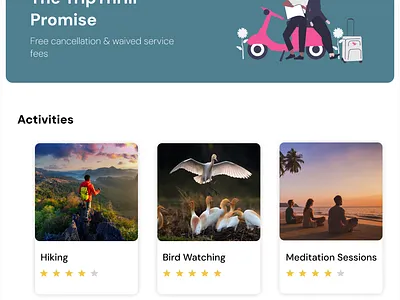 Trip & Trill graphic design tourism ui webdesign