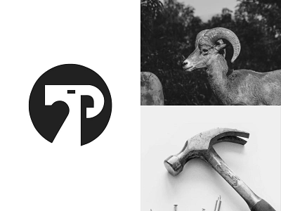 Hammer Bighorn Sheep ready-made logo for sale 3d anhdodes animation branding design graphic design illustration logo logo design logo designer logodesign minimalist logo minimalist logo design motion graphics ui