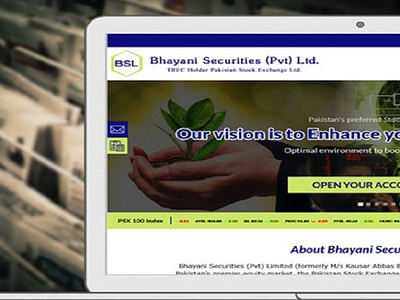 Bhayani Securities Limited