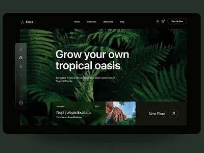Flora • Tropical & Nature Education Website forest green hero jungle nature plant tropical ui user interface web design website wild wood