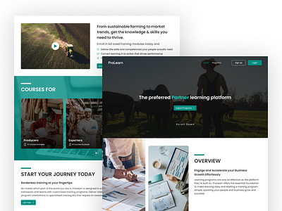 Landing Page branding graphic design landingpage ui uiux