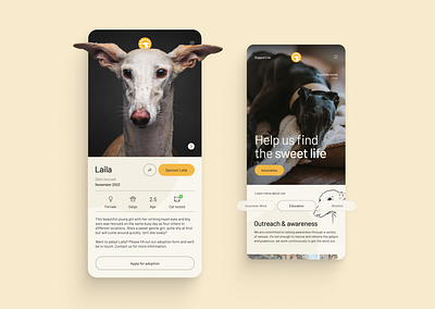 Dog Rescue Organisation digitaldesign redesign uiux