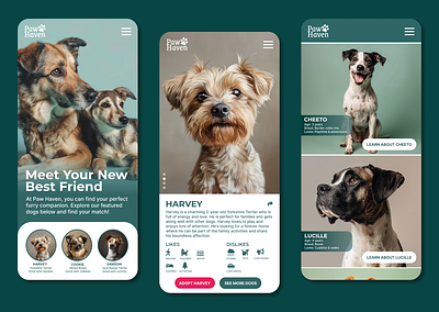 Paw Haven - Mobile UI Design animals art branding design dogs illustration logo pets ui design