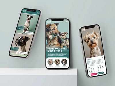 Paw Haven Pet Adoption Mobile UI Design art branding design mobile mobile ui design ui design