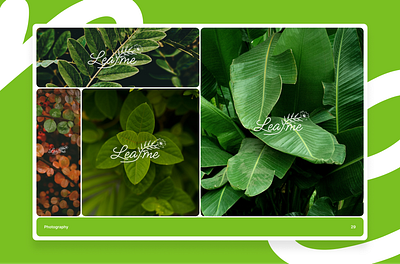 Leaf.me Photography branding graphic design identity logo photography