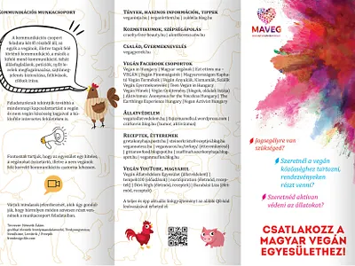 Flyer design for MAVEG flyer graphic design