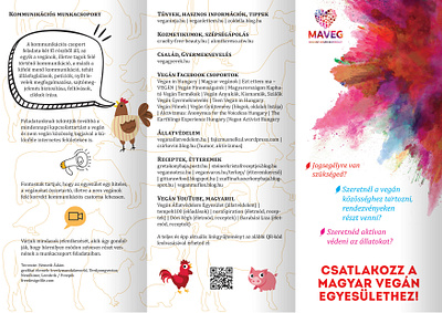 Flyer design for MAVEG flyer graphic design