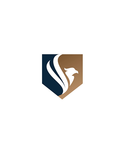 SECURITY EAGEL SYMBOL branding graphic design logo