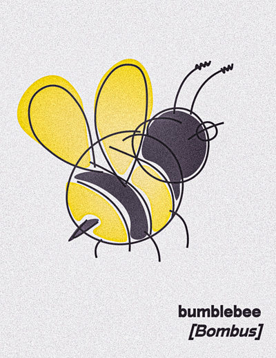 bumblebee illustration illustrator line drawing pastel photoshop