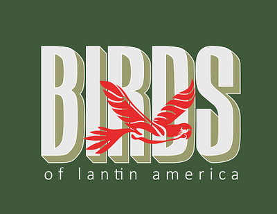 Birds of latin america design typography vector