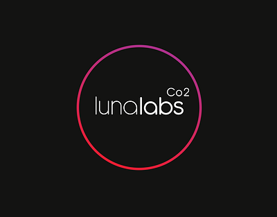 Luna Labs branding creative direction identity logo visual design