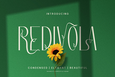 Redivola Typeface design font fonts letteing typeface