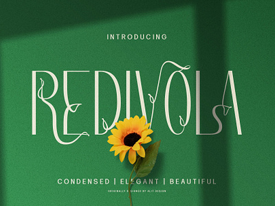 Redivola Typeface design font fonts letteing typeface