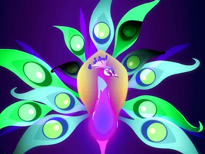 Peacock Display after effects animation bird glow illustration illustrator motion graphics peacock