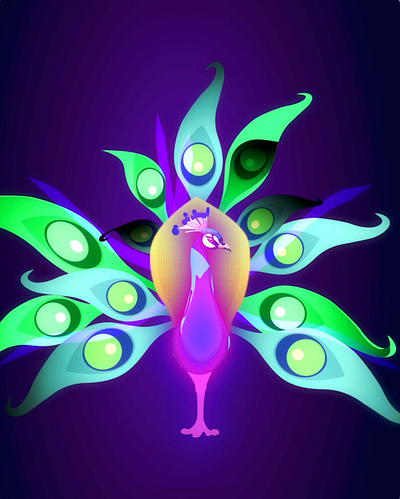 Peacock Display after effects animation bird glow illustration illustrator motion graphics peacock