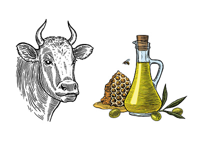 Hand drawn illustrations bee branding cow drawing engraving graphic design hand drawn honey illustration label oil olive