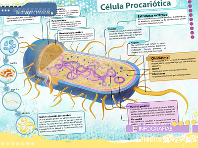 Infographics - Biology graphic design infographic tecnicalillustration