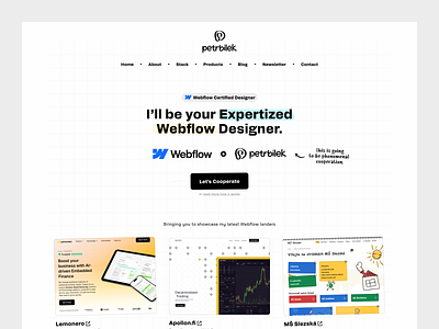 Petr Bílek - Webflow Landing branding no code no code designer personal personal site seo story telling webflow webflow development website