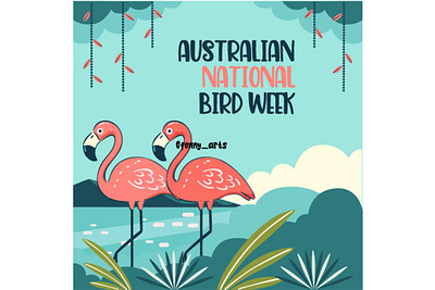 Hand Drawn Australian National Bird Week animal australia background beauty bird cartoon celebration conservation creature day decoration fauna feather flamingo national nature species wild wilderness wildlife