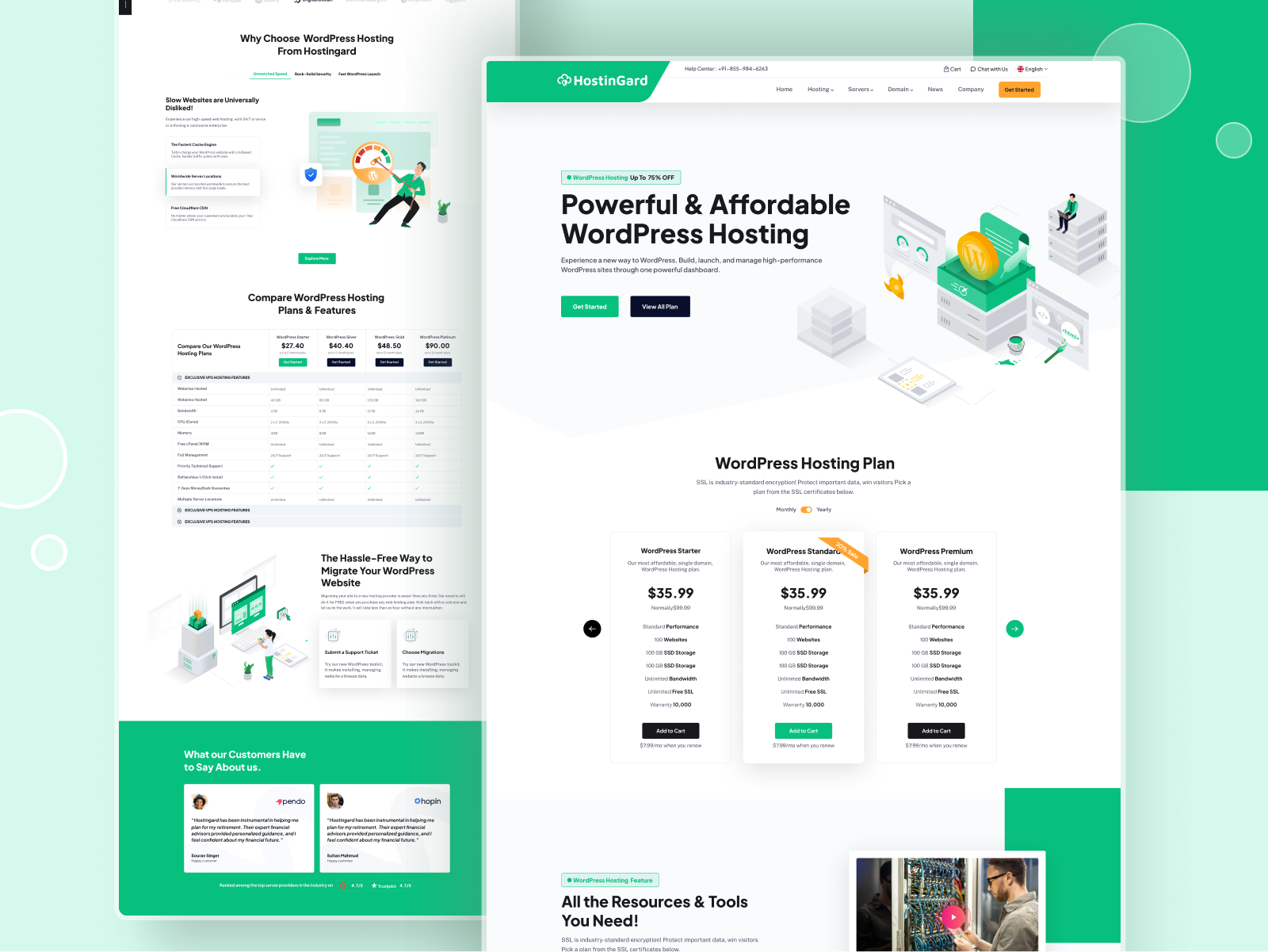 Example of Hosting Platform Website Template Design 