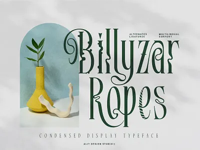 Billyzar Ropes Typeface design font fonts letteing typeface