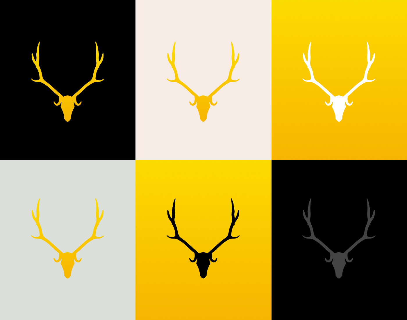 Brand strategy, visual brand identity brand strategy branding design graphic design logo design visual identity