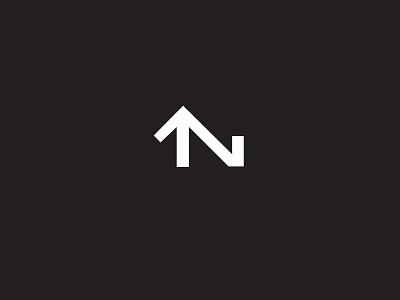 True North branding creative direction identity logo visual design