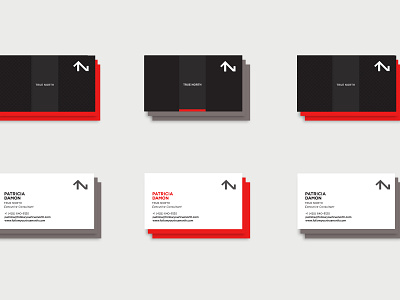 True North branding business cards creative direction design icon logo print collateral visual design