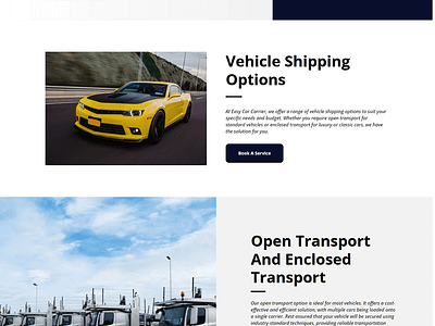 Easy Car Carrier Website web designing web development