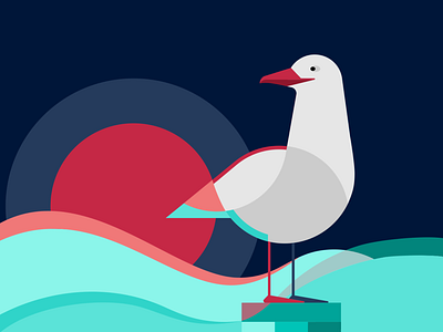 Seagull bird branding coffee color design dribbble graphic design gull illustration north package sea seagull