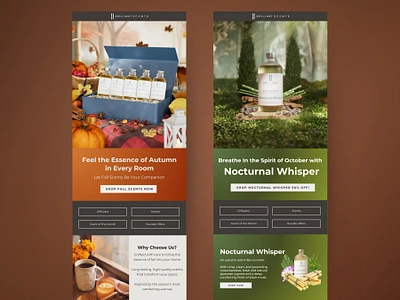 Brilliant Scents | Newsletters ads branding design graphic design newsletter newsletters renders scenting