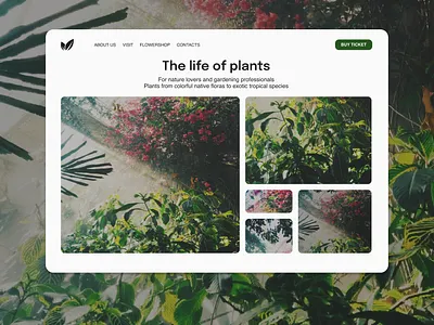 Botanical Garden website animation design illustration logo remotejob typography ui usability userexperience. ux uxd uxfreelancer uxui designe webdesign website