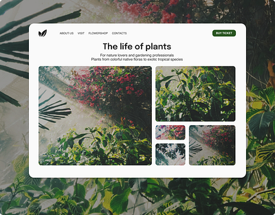 Botanical Garden website animation design illustration logo remotejob typography ui usability userexperience. ux uxd uxfreelancer uxui designe webdesign website