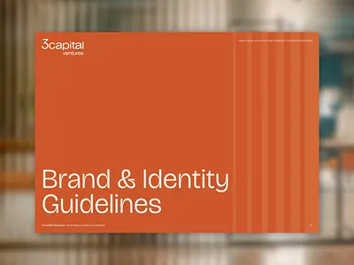 3 Capital Ventures Brand Guide brand guide branding corporate identity graphic design logo typography
