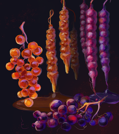 Churchkhela colors digital illustration drawing fruit grape illustration illustrator photoshop