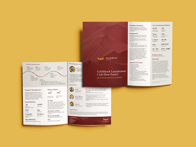 GOLDHAWK Brochure Design branding brochure design executive summery flyer google slide investment teaser one pager pitch deck powerpoint template presentation design