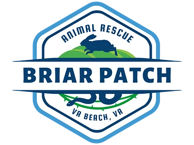 Briar Patch Animal Rescue- Branding branding graphic design logo