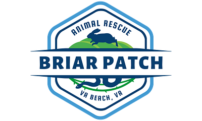 Briar Patch Animal Rescue- Branding branding graphic design logo